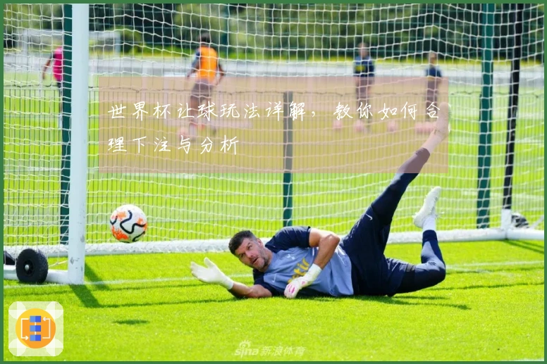 世界杯让球玩法详解，教你如何合理下注与分析