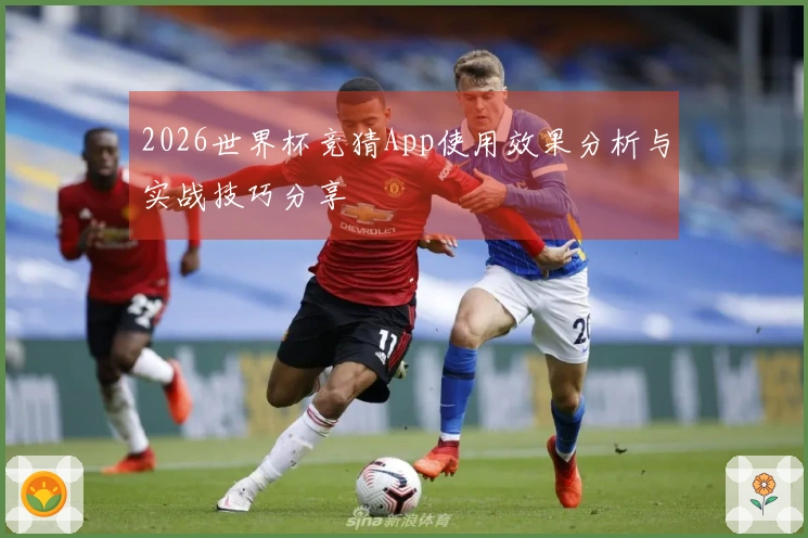 2026世界杯竞猜App使用效果分析与实战技巧分享