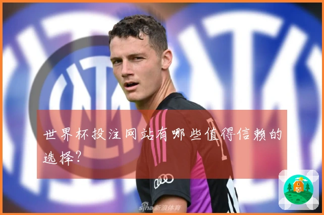 世界杯投注网站有哪些值得信赖的选择？