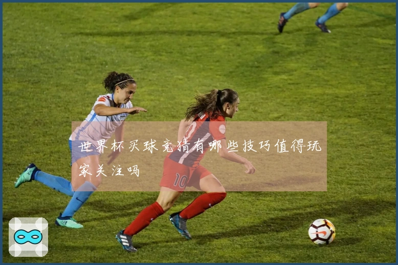 世界杯买球竞猜有哪些技巧值得玩家关注吗
