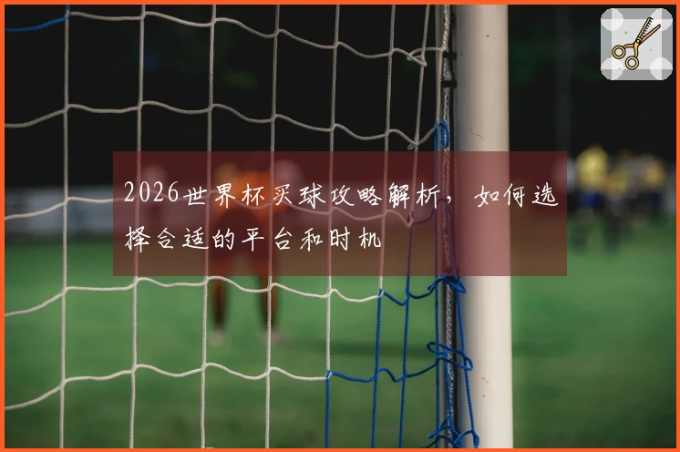 2026世界杯买球攻略解析，如何选择合适的平台和时机