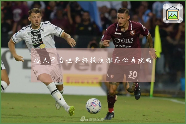 各大平台世界杯投注推荐必看攻略