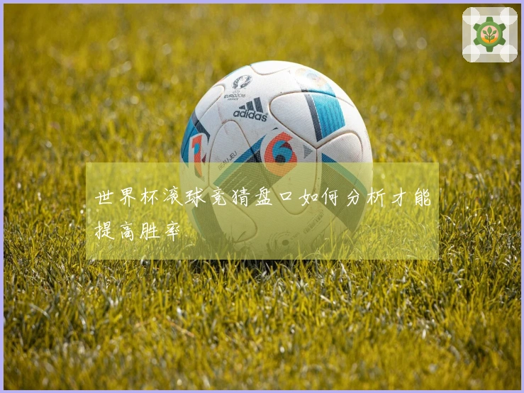 世界杯滚球竞猜盘口如何分析才能提高胜率