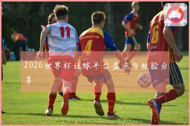 2026世界杯让球平台盘点与经验分享