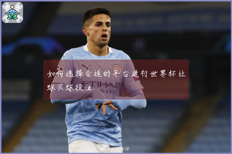 如何选择合适的平台进行世界杯让球买球投注